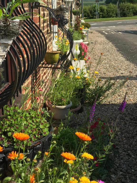 Oyo Yarm Cottages Kirklevington ภายนอก รูปภาพ